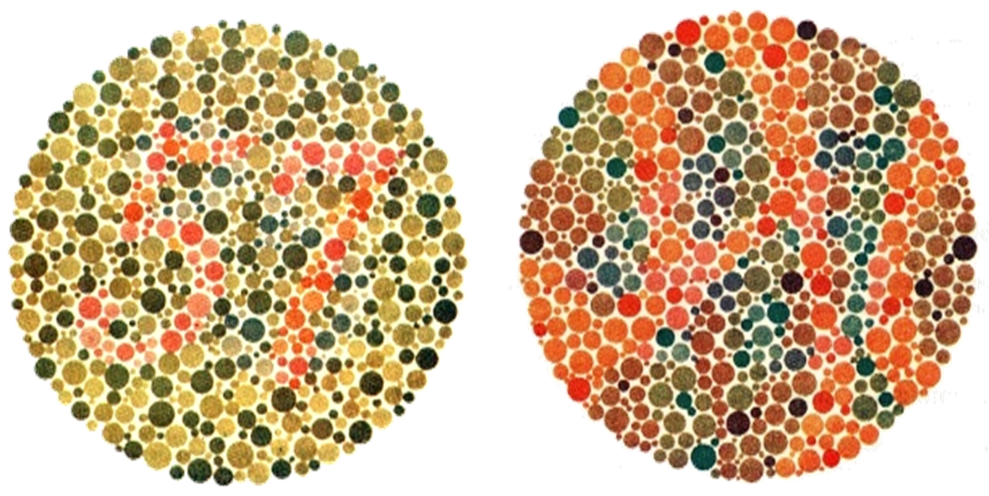 仮性同色表（石原式色覚検査表）